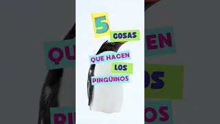 5 cosas que a veces hacen los pingüinos #penguinawarenessday #cienciadivertida #penguin