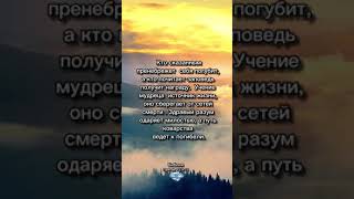 Библия притчи 13:9-19 #video #притчи #библия #притча