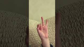 Put a finger down(YouTuber Addition