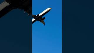 Sharklets #shorts #airplane #aviation #planespotting #aeroplane