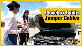 Jumper Cables