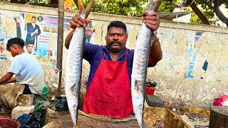 KASIMEDU SPEED SELVAM SHEELA FISH CUTTING VIDEO / cutting FOCUS