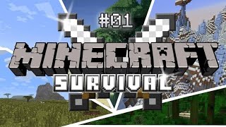 Minecraft 1.21 survival series episode 1 #minecraft #pakistan #gaming #games #shorts #trending