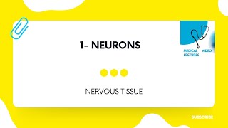 Neurons | CHAPTER#5- NERVOUS TISSUE