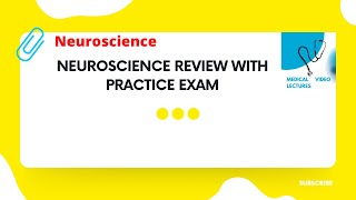 Neuroscience review with practice exam