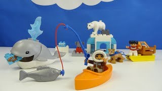 Строим из Lego Duplo, LEGO DUPLO 10803 Arctic - Лего Дупло 10803 Вокруг света Арктика Play toys Lego