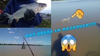 pesca en mazaruca 2022#lospescadores #pesca #entrerios #mazaruca