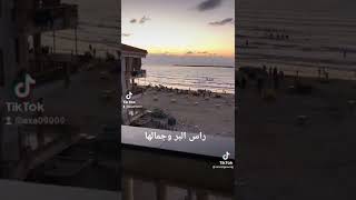 راس البر