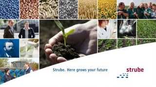 Strube Sugar Beet: Here Grows Your Future