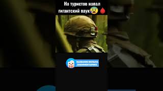 💀 На туристов напал гигантский паук #фильмы #shorts