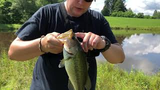 Farm Pond Fishing