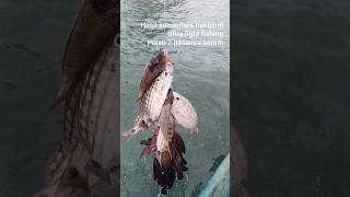 Mancing Ultralight fishing || mancing di karang dangkal