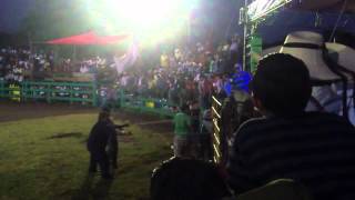 toros fiestas patronales 2012 5