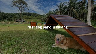 sherlock | kluang's first dog park!