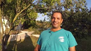 Sea Turtle Conservation Volunteer Project, Greece