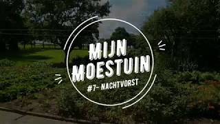 #7 Mijn moestuin- nachtvorst