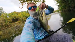 These Fall Bass are Fired up and Getting Fat for the Winter ( Lady Bird Lake )