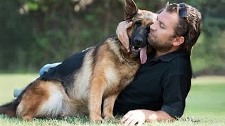 The Funniest Giant Dog You'll Ever See Thinks He's A Lapdog! Funny Dog Video