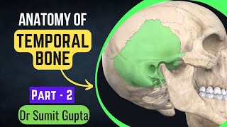 Temporal bone Part 2 || Petrous Part ||