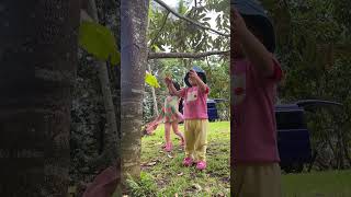 How to climb a Durian Tree 😂