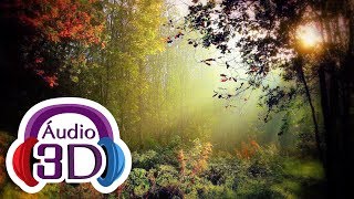 Parque Florestal - 3 HORAS - Natureza - 3D AUDIO (ALL IMMERSIVE)