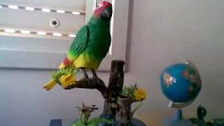 Scary Parrot singing Ode to Joy