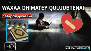 Waxaa dhimatey QULUUBTEENA|qiso yar oo soojidasho leh#aqri_quraanka