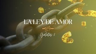 138 - La ley del amor