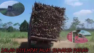 AKIBAT MUATAN TERLALU BERAT MIRING PARAH || DYNA RINO RIMBA PUTRA || TRUK TEBU