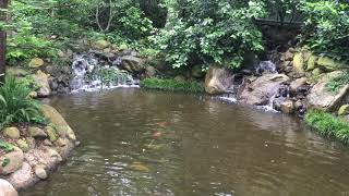 Koi pond waterfalls