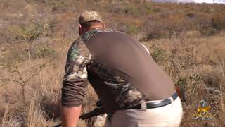 Beyond Adrenaline Buffalo Hunt