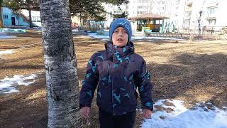 Сотников Семён, 7 лет, дс №25 пгт. Кавалерово - Я узнал