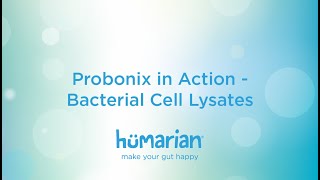 Probonix in Action - Bacterial Cell Lysates