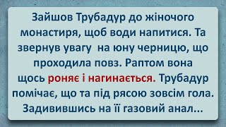 💠 Черниця з Жіночого Монастиря та Трубадур! Українські Анекдоти! Анекдоти Українською! Епізод #243