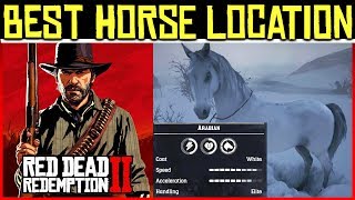 BEST HORSE LOCATION | Red Dead Redemption 2