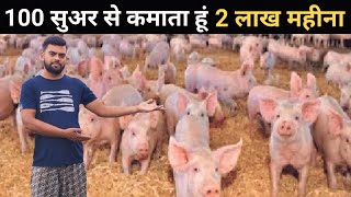 यह युवा सुअर पालन से 2 लाख महीना कमाते है | Pig Farming A to Z Jankari #pigfarmvideo