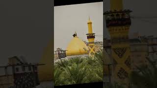 Alvida Alvida ya Shadia karkhata #shortsvideo #viralvideo #viralshorts #trendingshorts #imamhussain