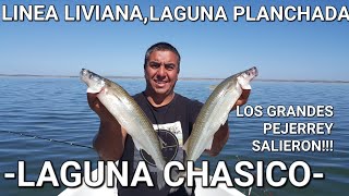 TREMENDA PESCA!!EN "LAGUNA CHASICO" 20 Y 21 DE MARZO -2021- VOLVIÓ LA BUENA PESCA!!! 💪🏾🎣🎣🎣🎣🎣🎣