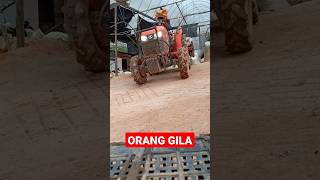 orang gila