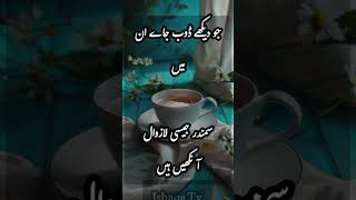 Urdu poetry | جو دیکھے ڈوب جاے ان میں سمندر جیسی لازوال آنکھیں ہیں