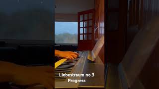 2y Piano progress | Liebestraum no.3