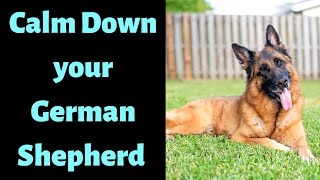 How to get German Shepherds to Calm Down?