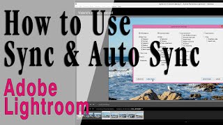 Lightroom: Copying Settings Using Sync & Auto Sync