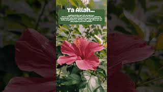 Ya Allah #viral #islamic #shortvideo #qoutesislami #reminderislamic #story #status #storyislami #fyp