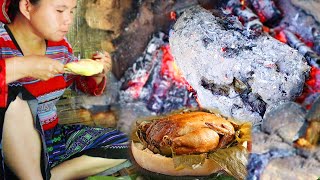 Primitive technology - Natural Chicken Cooked in Mud - Catch and cook chicken eating delicious