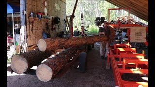 WOW..Our Lumber Operation Couldn't Be Any Better For Us. Off Grid Homesteading. Post And Beam Build