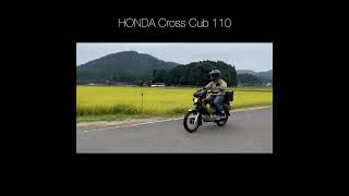 Honda Cross Cub 110 #shorts