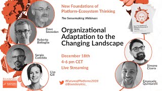 Sensemaking Webinar #1 - Organizational Adaptation to the Changing Landscape