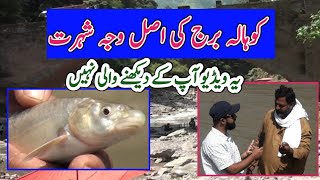 Neelam Point & Kohala Bridge| Adventure |Best family Picnic point| HTandT| Murree View |Neelam Point