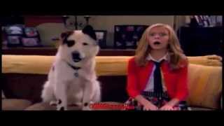 Super Size Night of Dog With A Blog Promo - G Hannelius